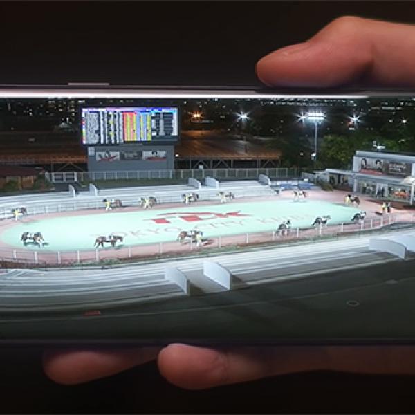 大井競馬トゥインクル35周年レプリカ 馬券セット当選品