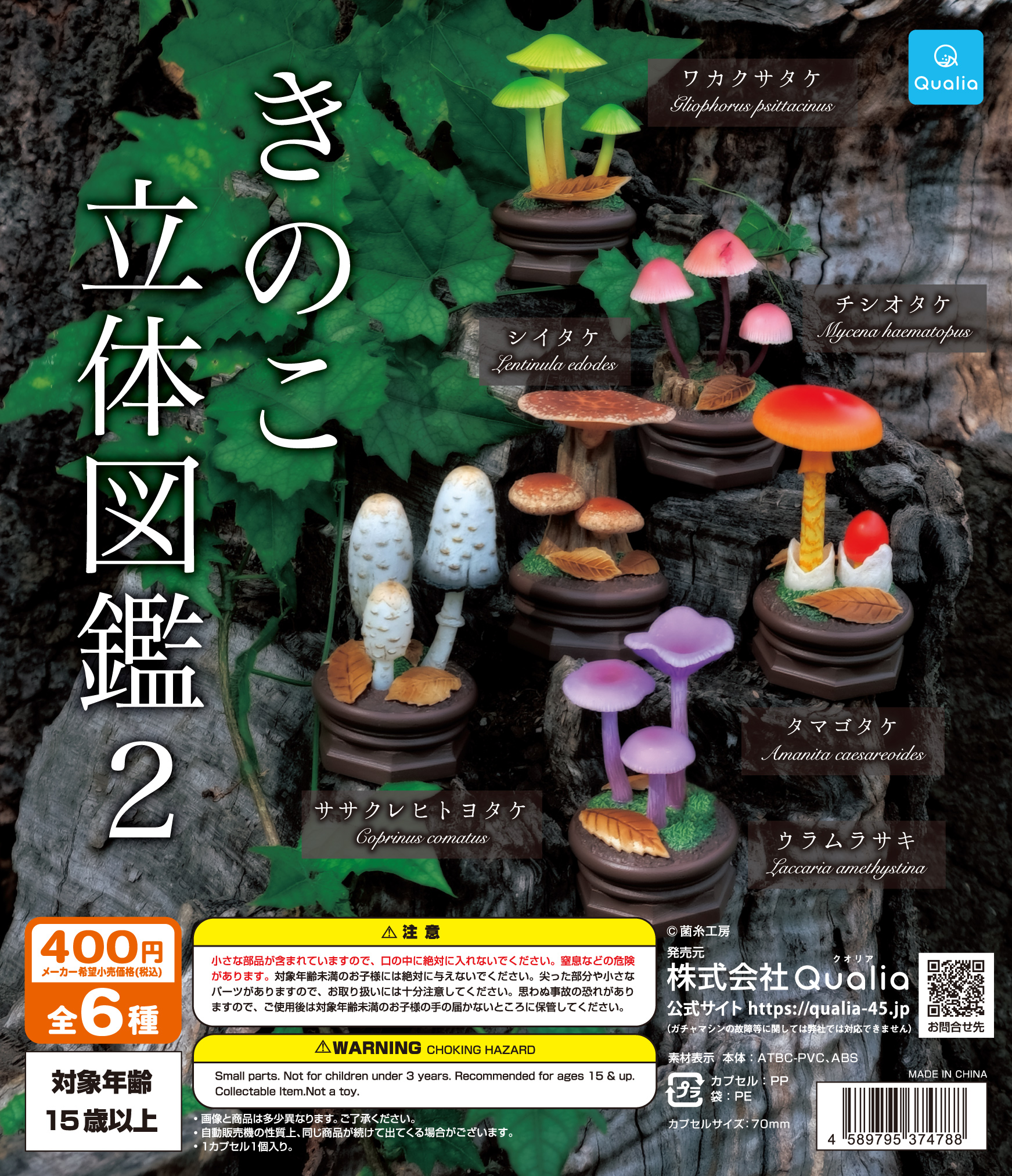 きのこ立体図鑑2 | Qualia