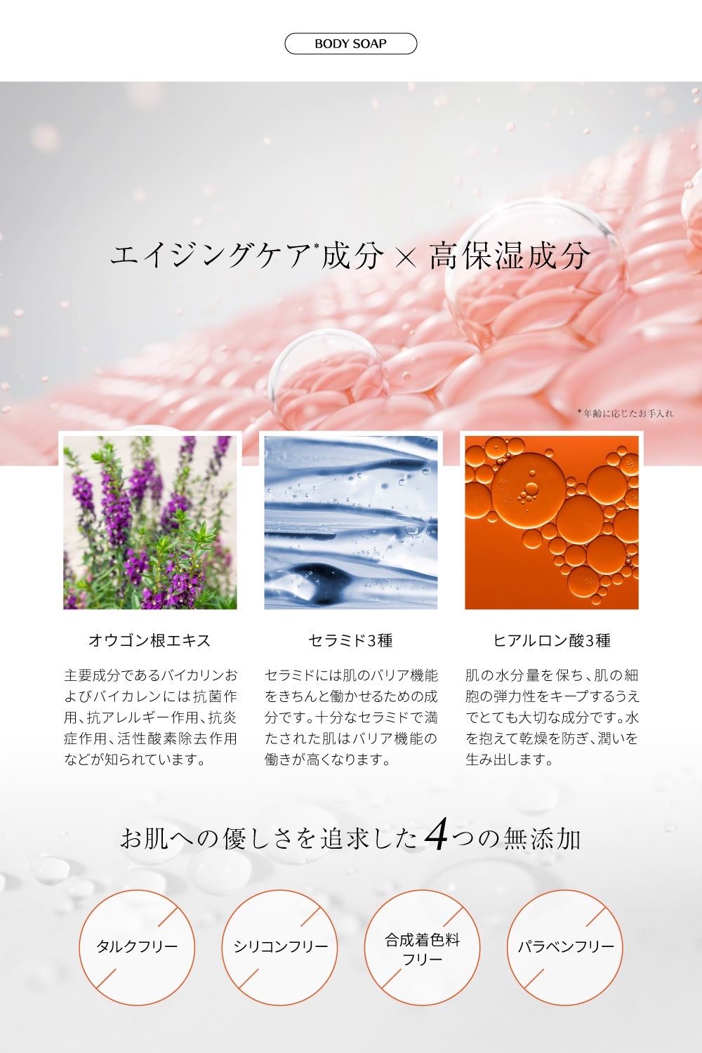 2023年 シャンプー＆トリートメント、ボディソープ、歯磨き粉を発売