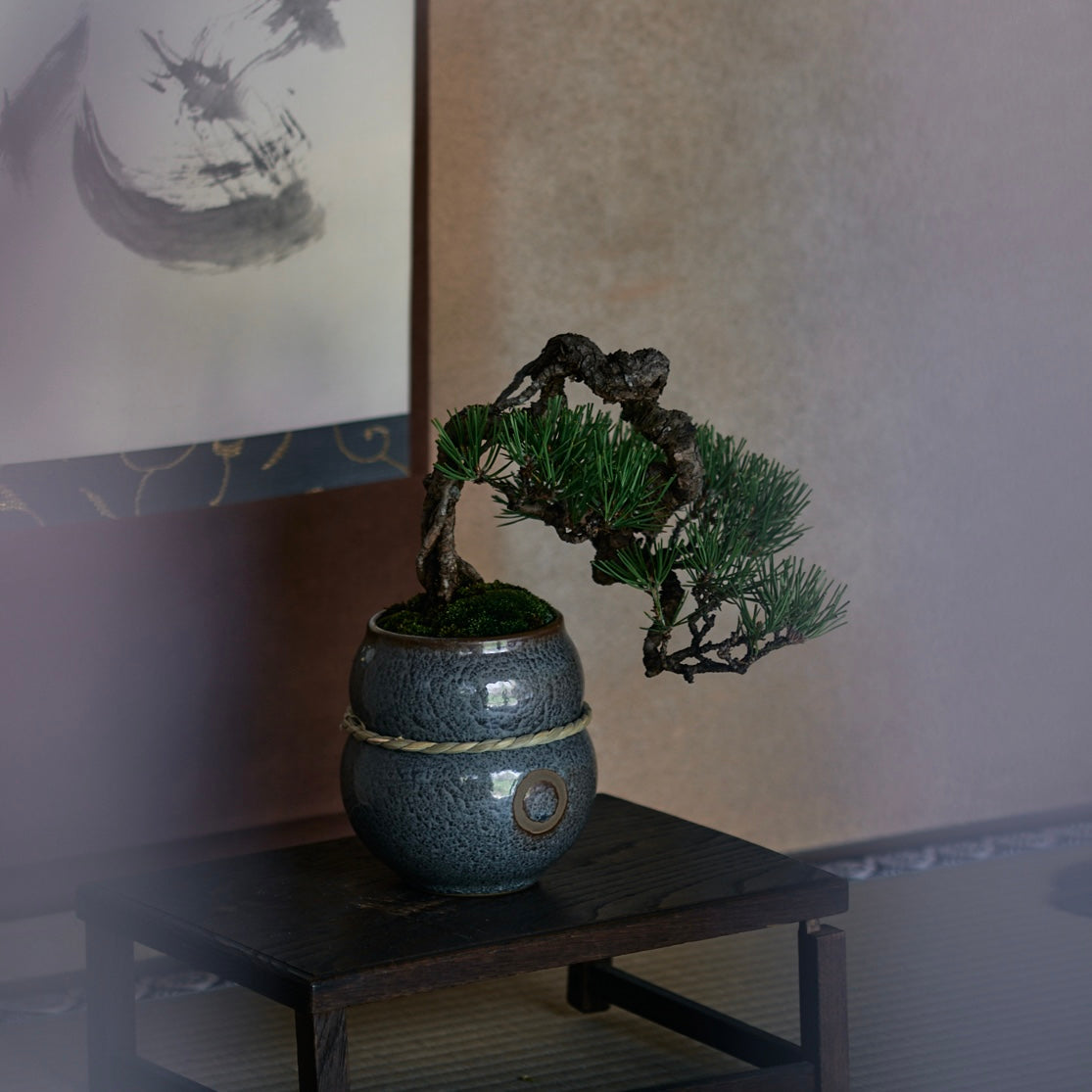 㘴 -SOZORO- 蒼鱗 Sサイズ｜QUTOTEN.