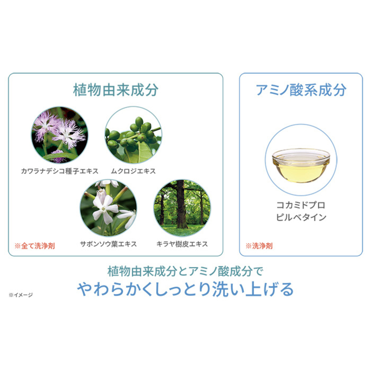 オーデュオー コットンフォームマーベラスモイスト リフィル200ml