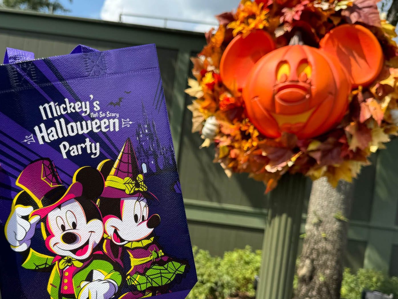 FULL GUIDE - Mickey's Not So Scary Halloween Party 2025