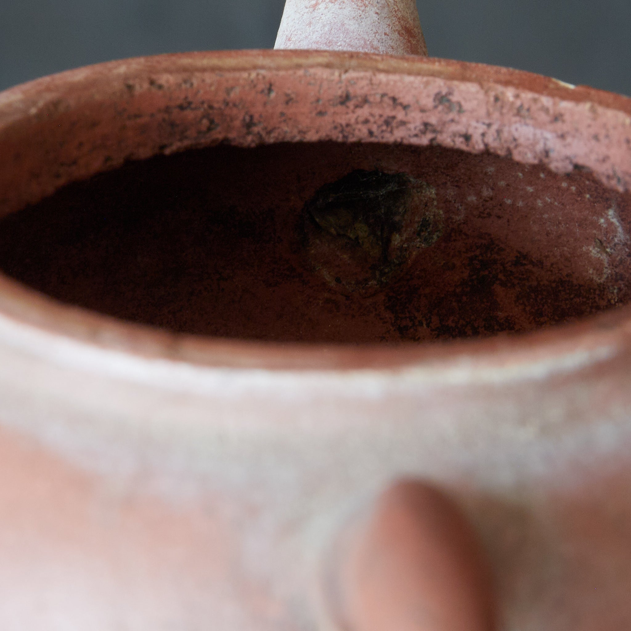 清代 朱泥水平壺（急須）（1616–1911CE） | 入蘆花（ロカニイル）