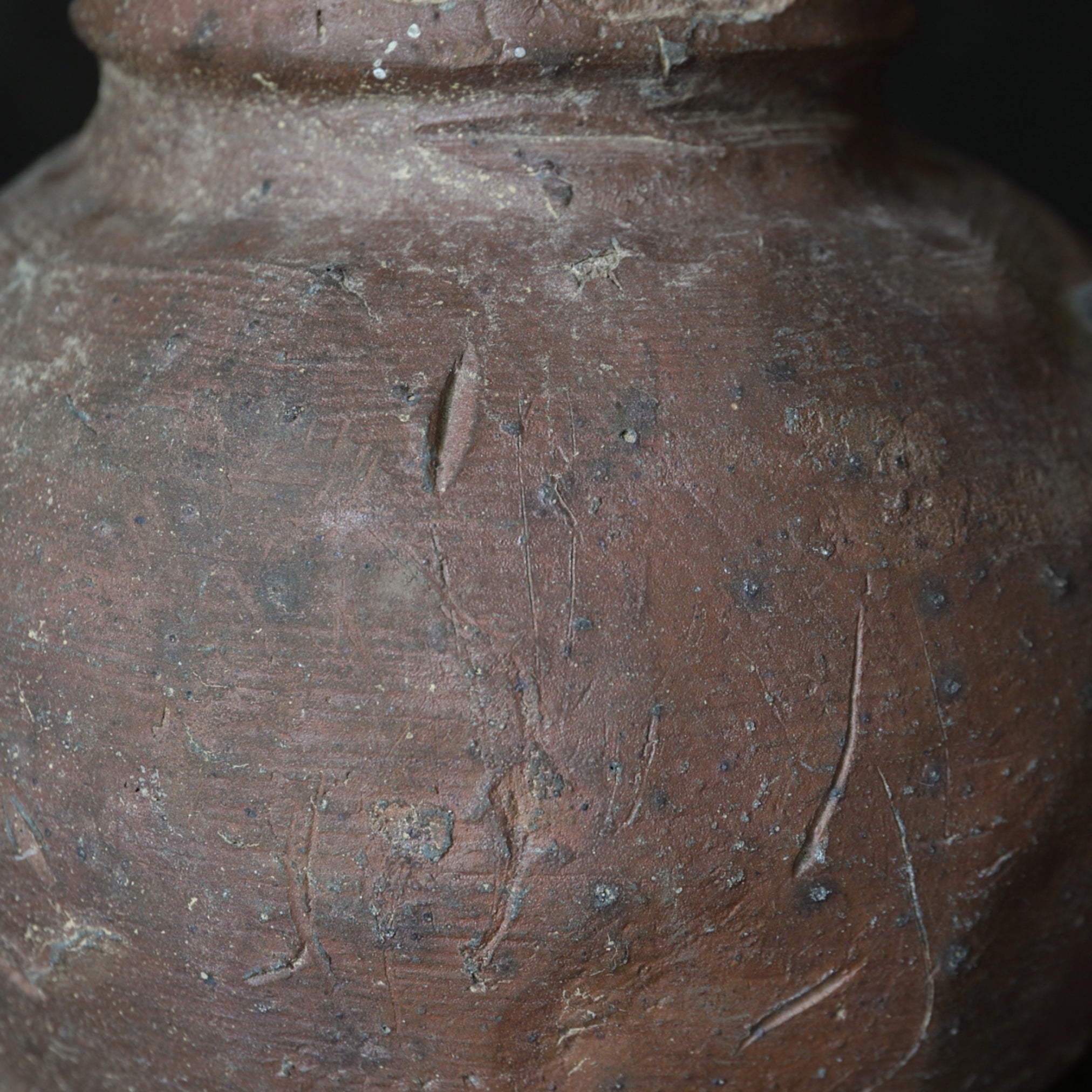 鎌倉–室町時代 古越前 壺（1185–1573CE） | 入蘆花（ロカニイル）