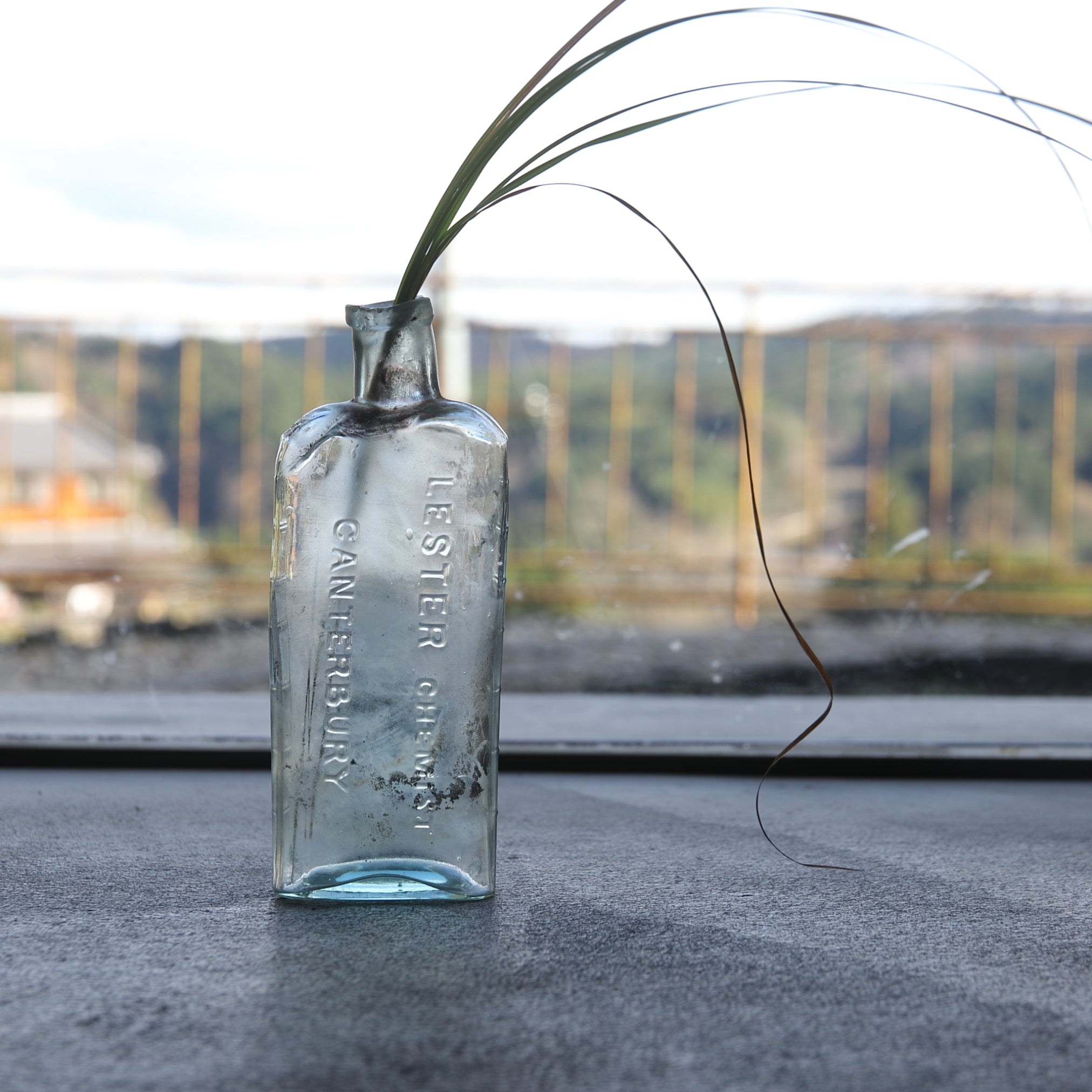 rcnir-2023-00009344.jpg?v=