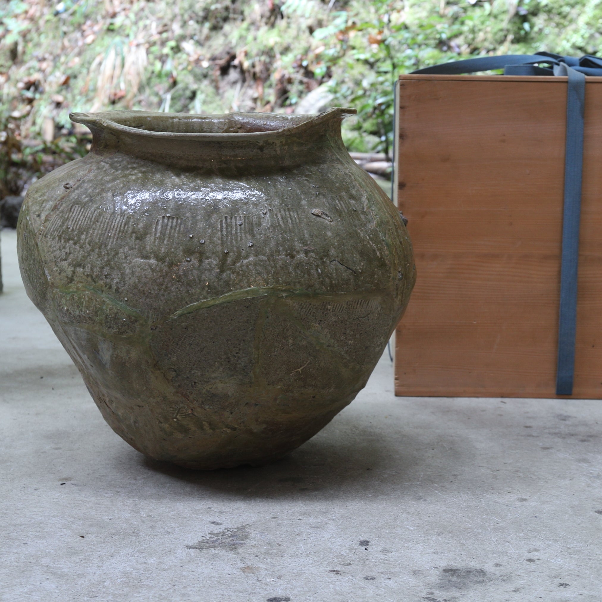 rcnir-2023-00012908.jpg?v=