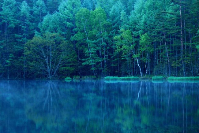 名画の生まれた風景を訪ねる ”緑響く” 深緑の御射鹿池ツアー | 八ヶ岳