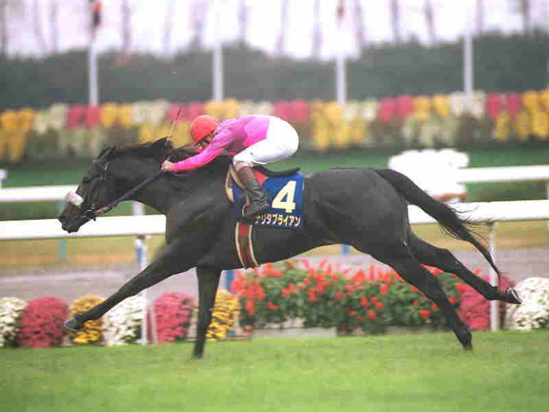 G2阪神大賞典】 名レース ナリタブライアン対マヤノトップガン