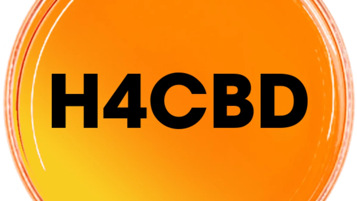 H4CBD原料（油脂・新基準対応）