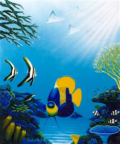 Reef Colours- Small print by Darrell Hook – Reef Images