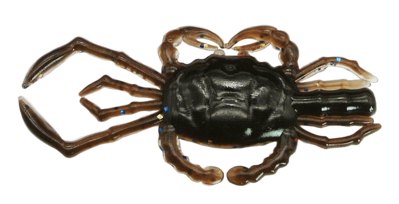 2.8”レインズクラブ北日本カラー 再入荷