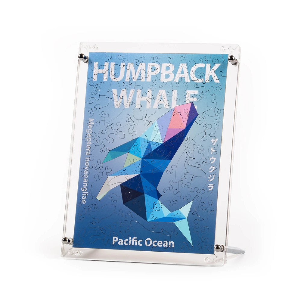 thumb_oc04_1000x.webp?v=1748585747