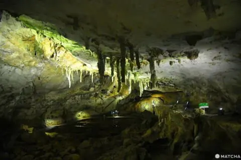 山口】日本最大級の鍾乳洞・秋芳洞で地球の神秘を感じよう！ - 日本の
