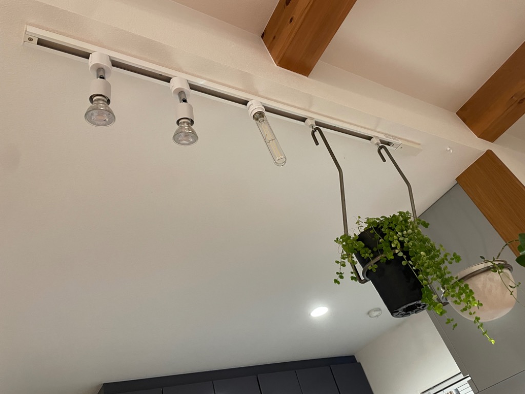 スワン SWAN ダクトレール用ソケット E26 : セレクトショップAQUA