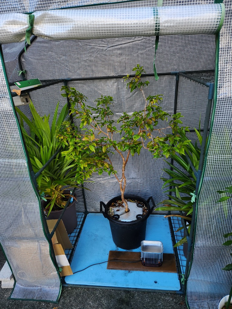 家庭温室用ウイングヒーター W-2000 ※サーモスタット付 : 鋏屋 - 通販