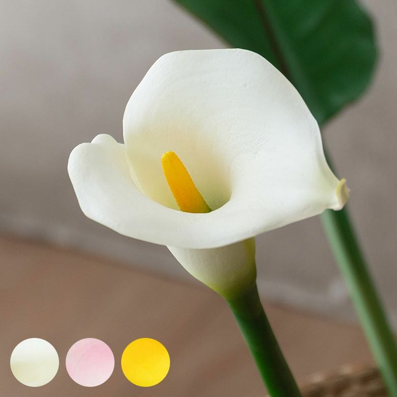 000000000328-01.jpg?size=l&w=