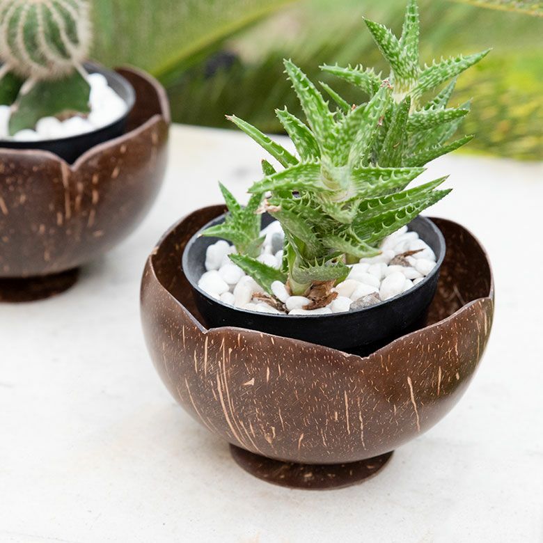 ココナッツウッド デコレーションボウル 花型 オブジェ 小物入れ バリ