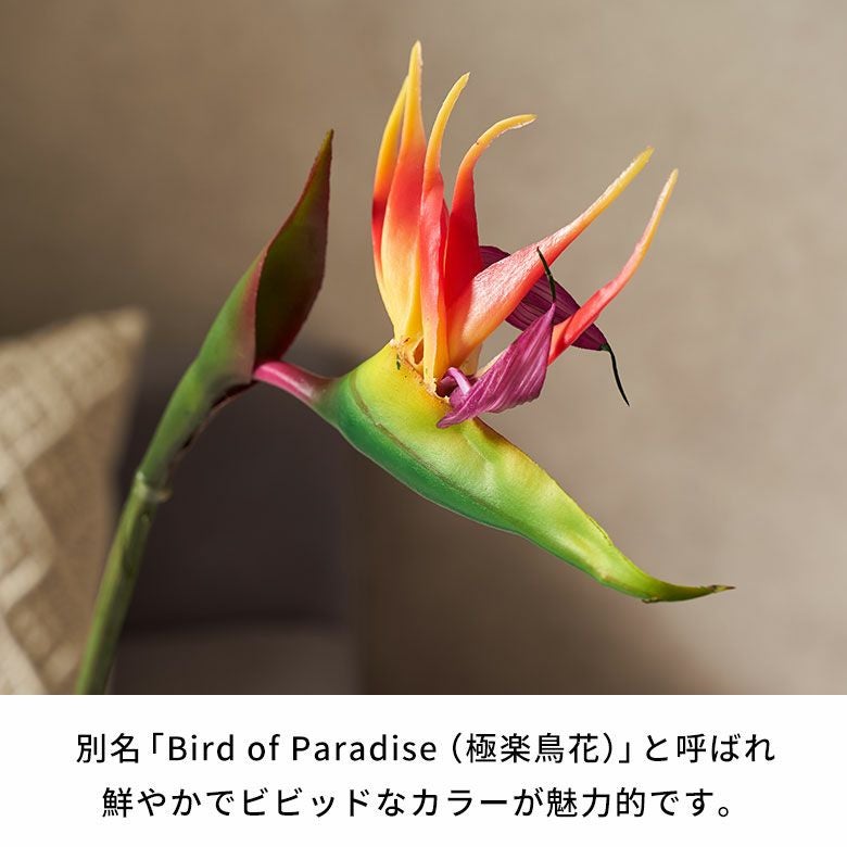 水やり不要のリアルな造花 ストレリチア（極楽鳥花）のアーティ