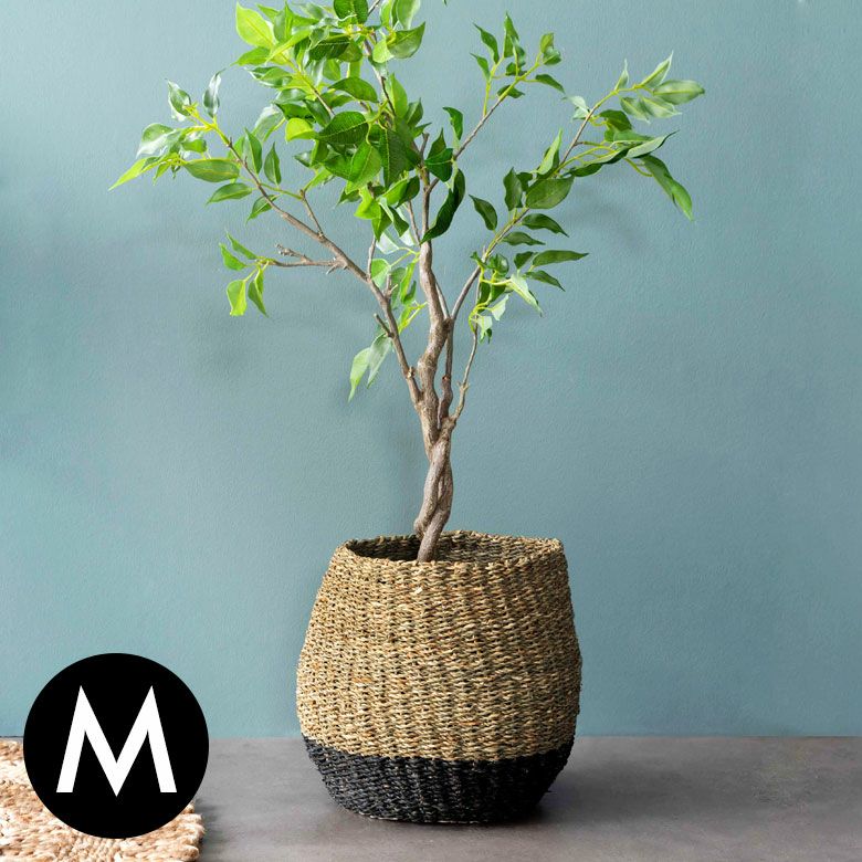 000000004165-01.jpg?size=l&w=