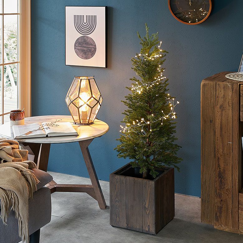 000000005231-10.jpg?size=l&w=