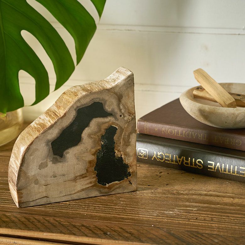 大自然の歴史を纏う木の化石フォッシルストーンで作られたブックエンド