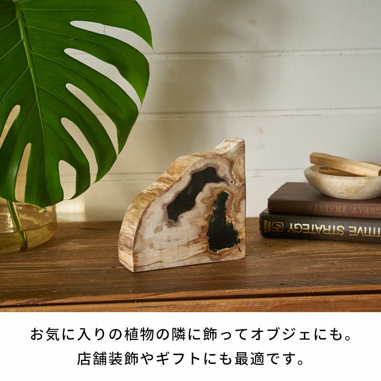 大自然の歴史を纏う木の化石フォッシルストーンで作られたブックエンド