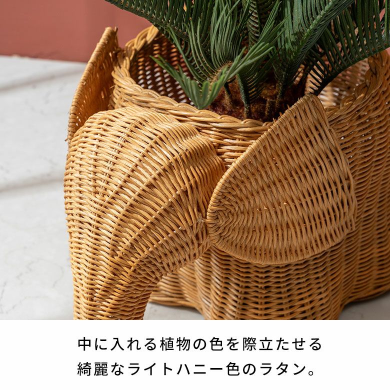 プランターカバー 象 象さん 籐 ラタン 6号鉢 約 W 38cm D 25cm H 26cm