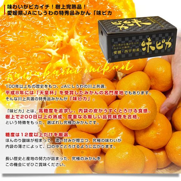 お歳暮 ギフト】愛媛県 JAにしうわ 川上共選 最高等級みかん「味ピカ