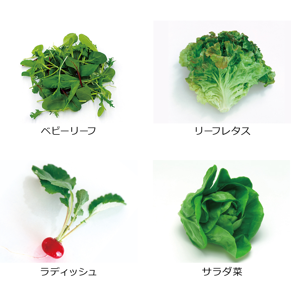 緑のやさいプランター 50型 3個セット | リッチェル公式ウェブショップ