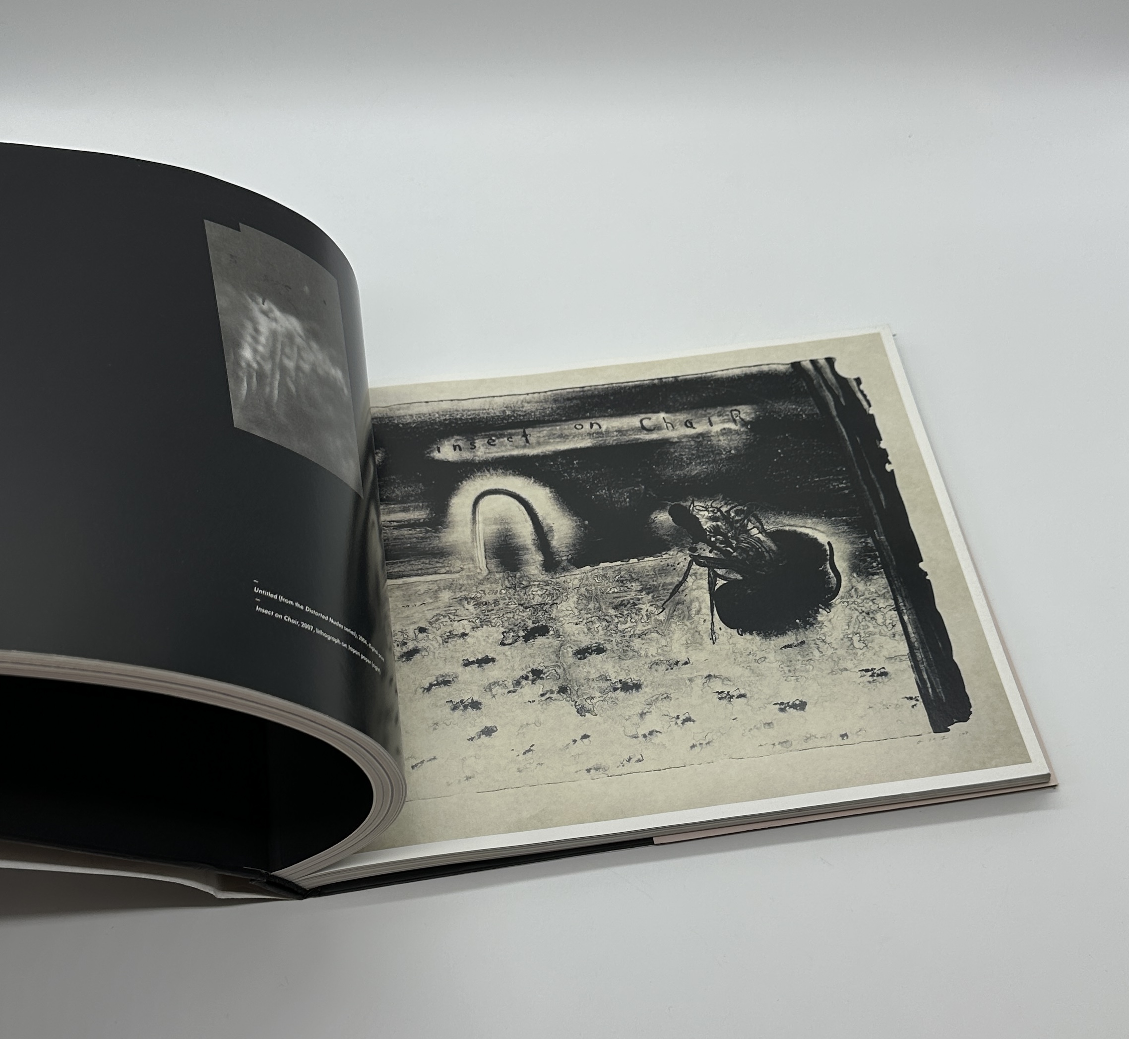 dark splendor - りーちあーと