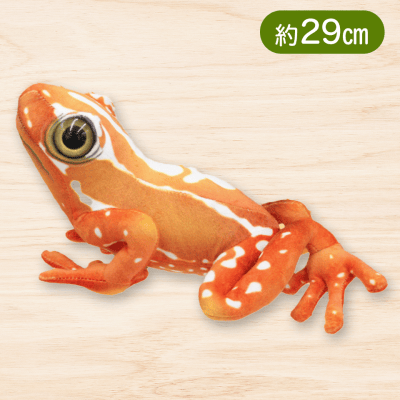 オレンジ】リアルカエルぬいぐるみVer.4 | オンラインクレーンゲーム