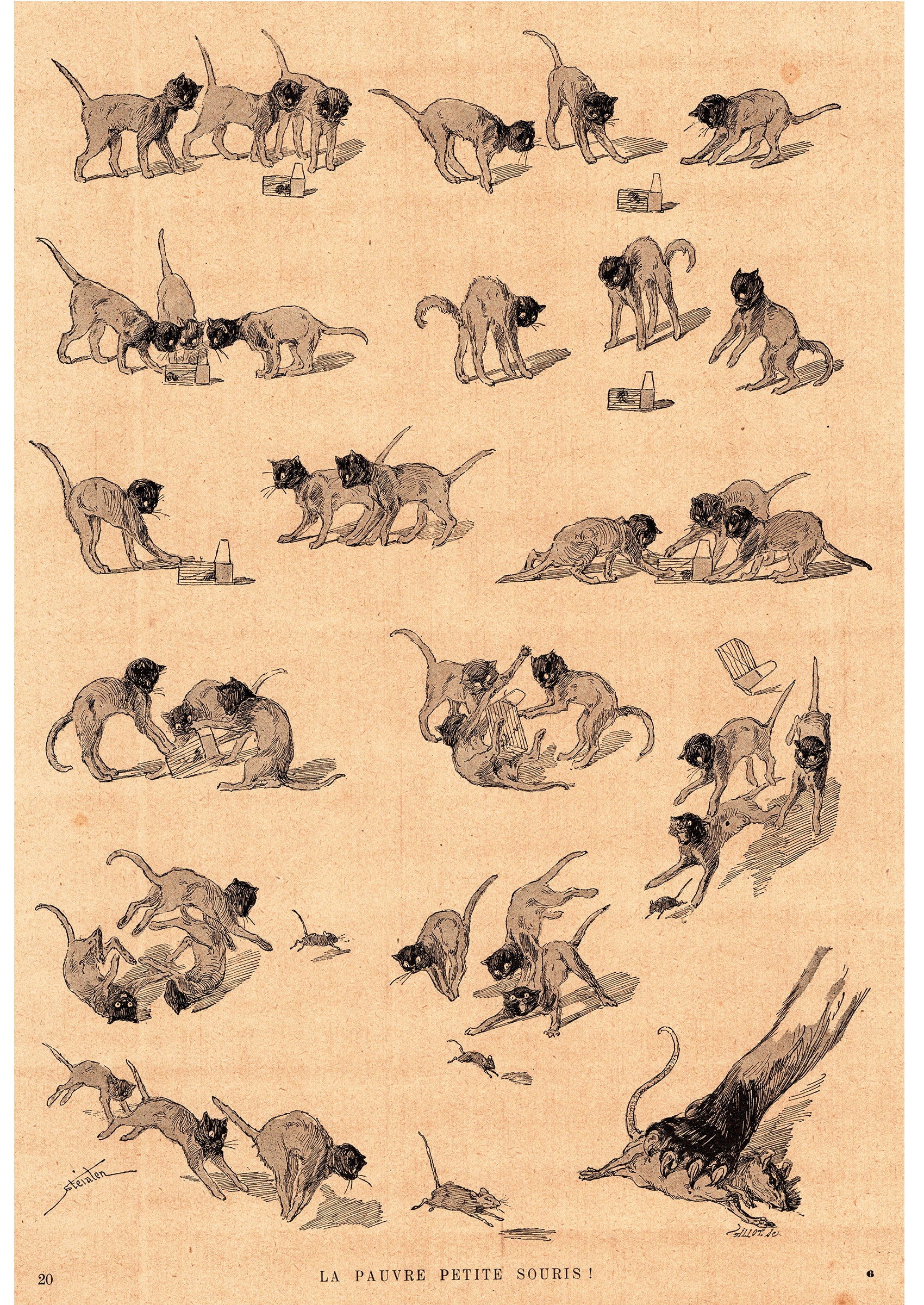 steinlen-petite-souris-1898.