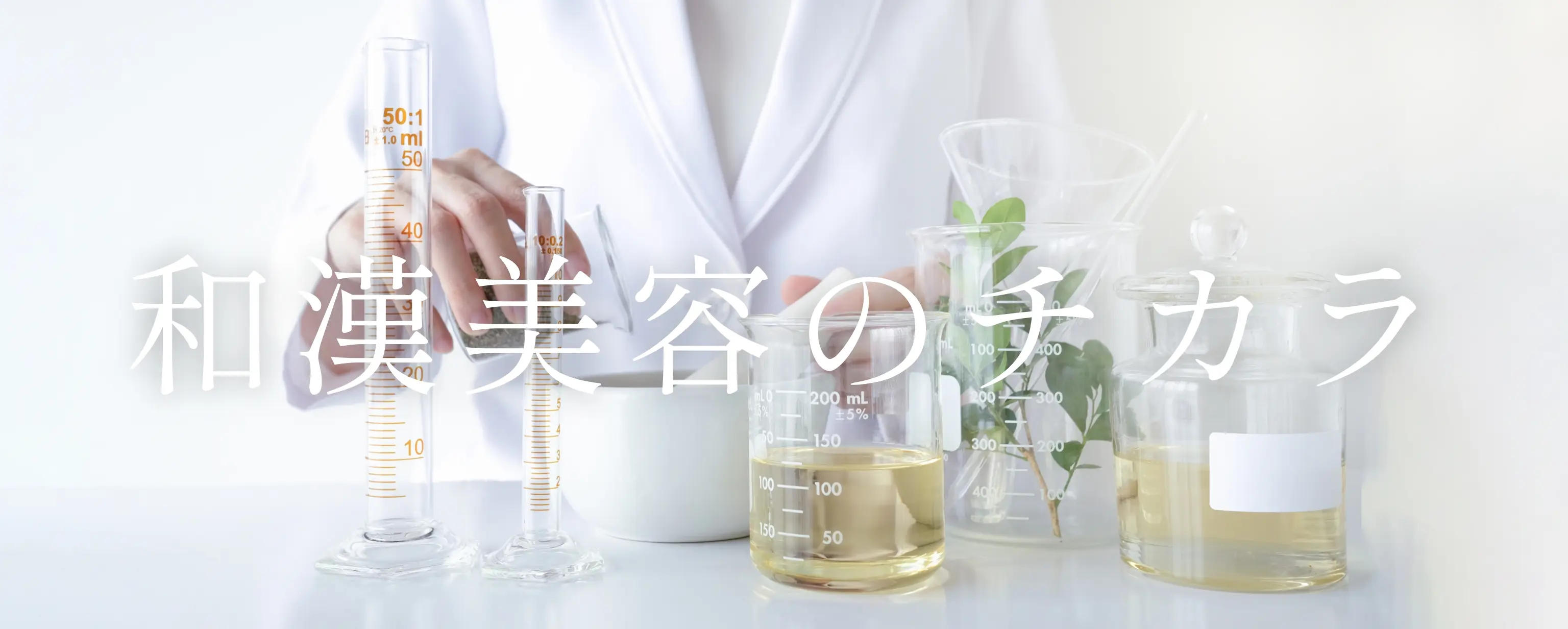 slimeley.| スリムレイ|リズム株式会社