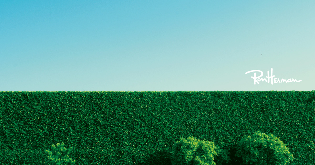 MERCEDES SALAZAR(メルセデス サラザール)｜Ron Herman