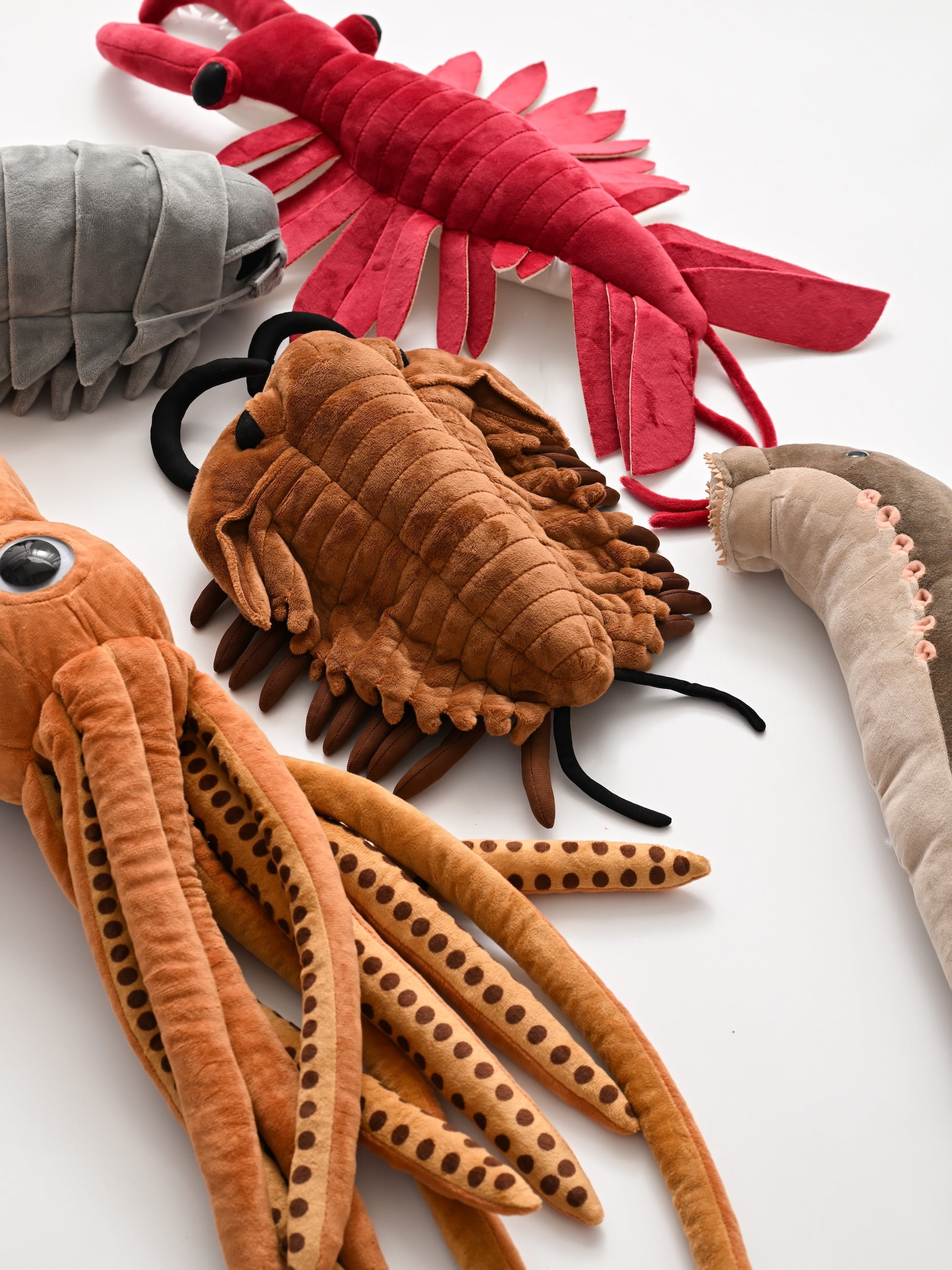 アノマロカリス アースロップ ソフトトイ｜GAGE BEASLEY(ゲージ