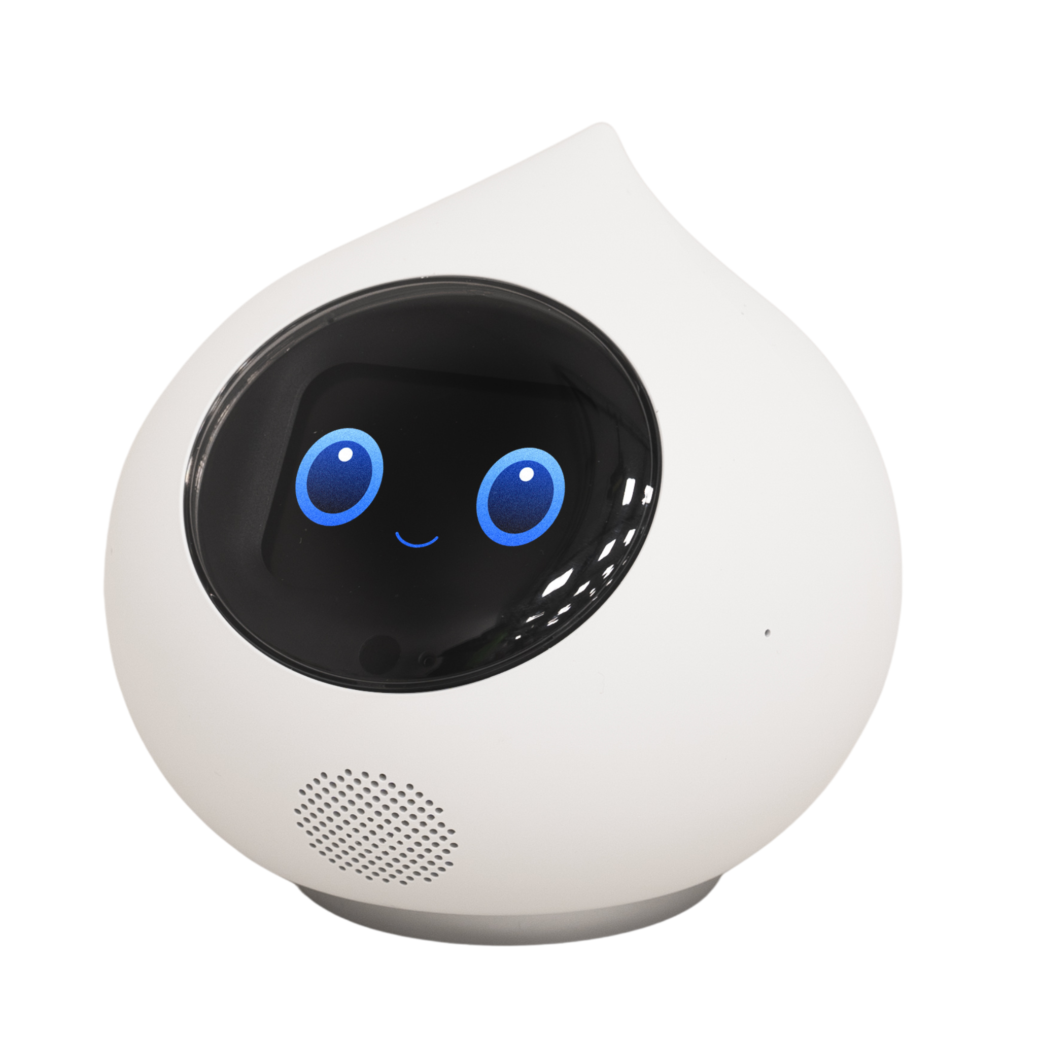 Romi （ロミィ）Lacatanモデル | RobotPlanet（ロボットプラネット）