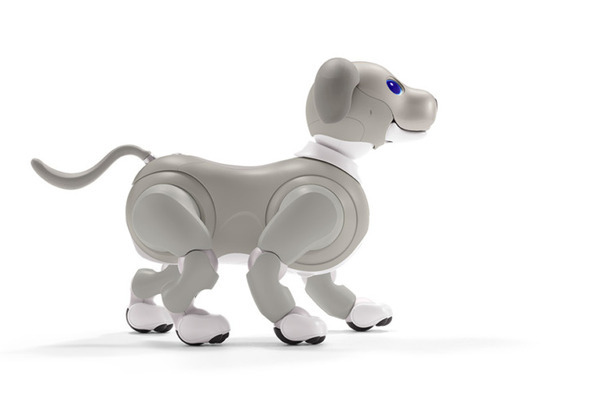 速報】ソニーのペットロボット「aibo」2021年の限定バージョンは「黒