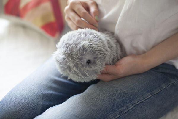 もふもふした愛らしさを持つAIペット型ロボット「もふりん」 日本発で