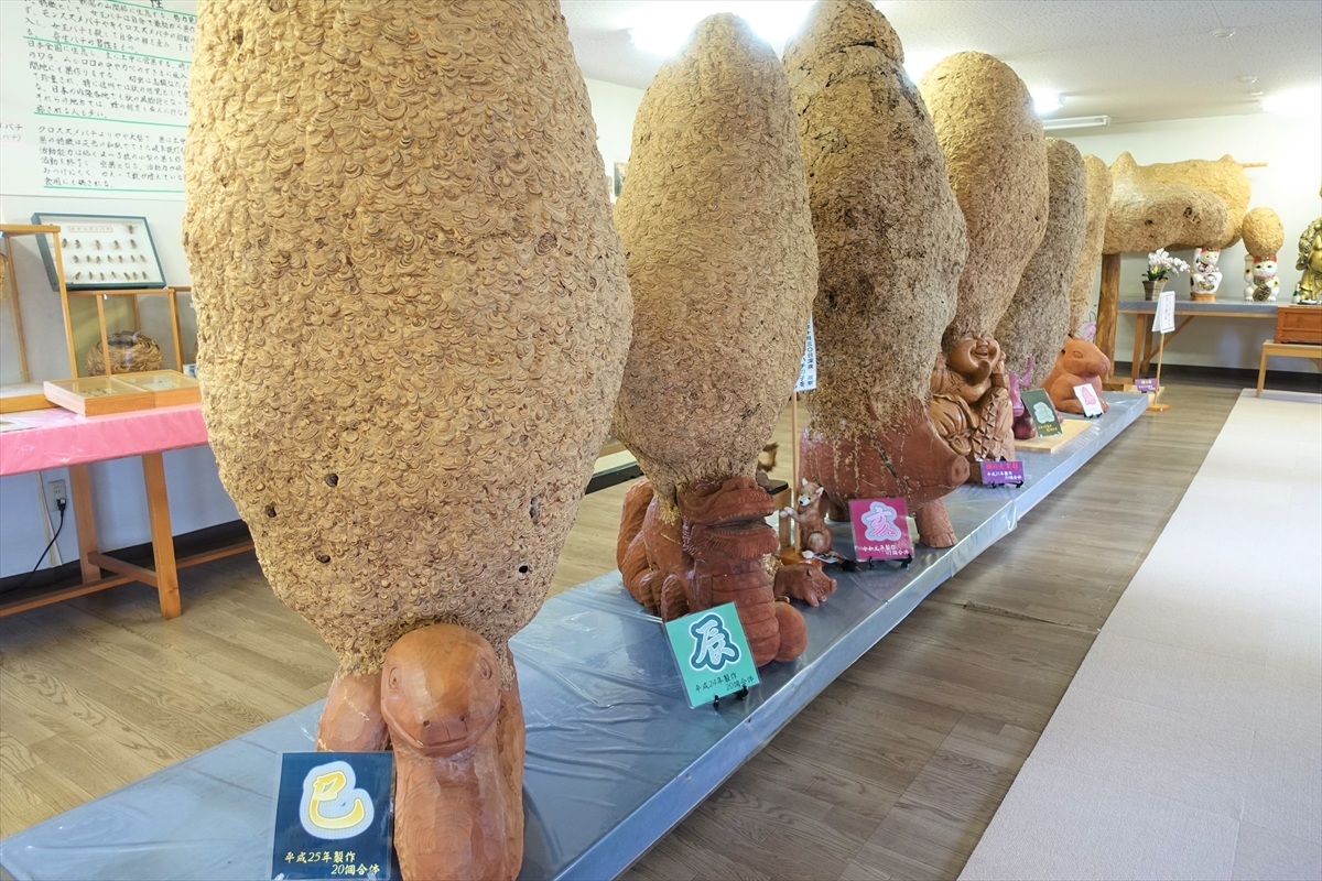 ギネス認定】世界一のハチの巣が展示された珍スポット『蜂天国』に行っ