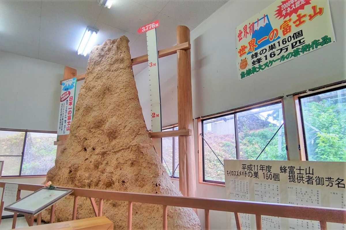 ギネス認定】世界一のハチの巣が展示された珍スポット『蜂天国』に行っ