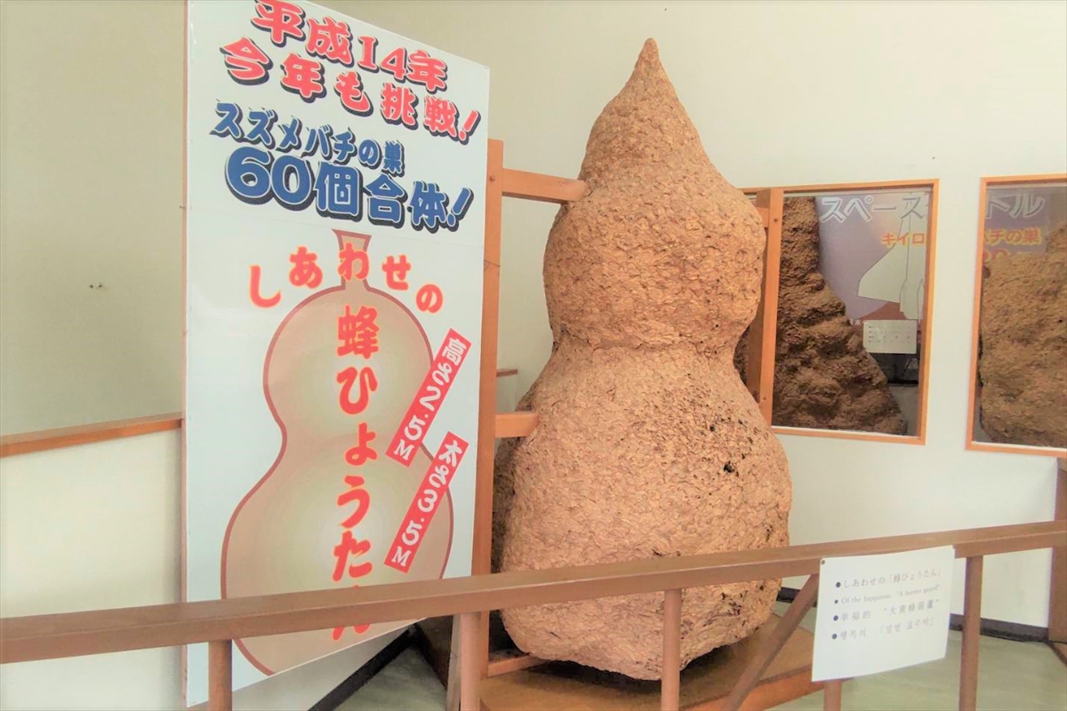 ギネス認定】世界一のハチの巣が展示された珍スポット『蜂天国』に行っ