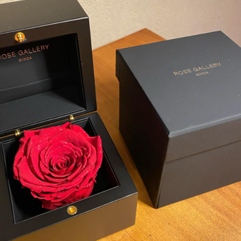 カムアップローゼス・ハート(L) | ローズギャラリー銀座 オンライン