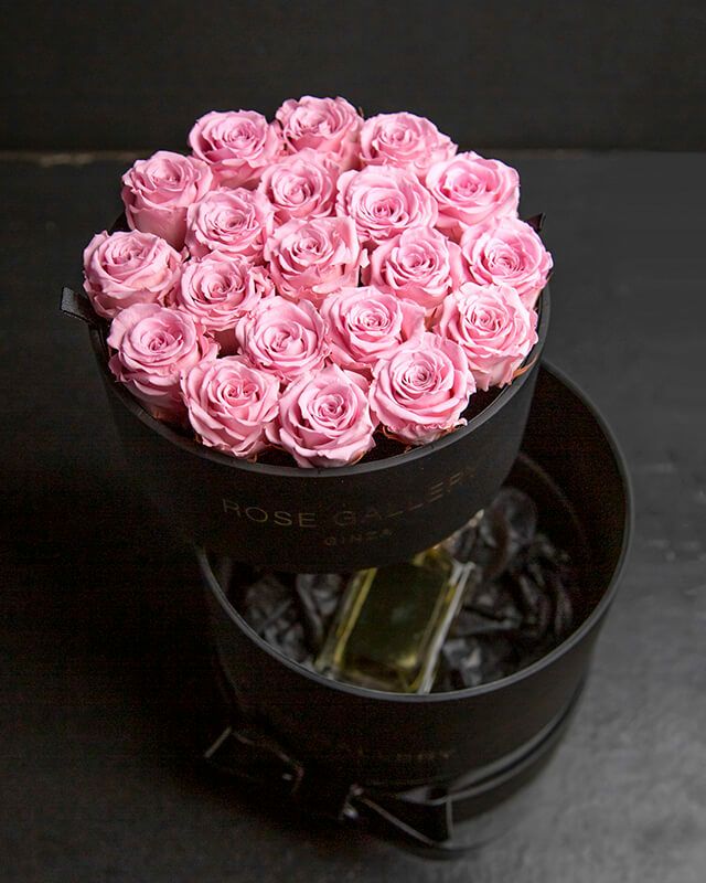 カムアップローゼス(M-N20) | ローズギャラリー銀座 オンラインショップ