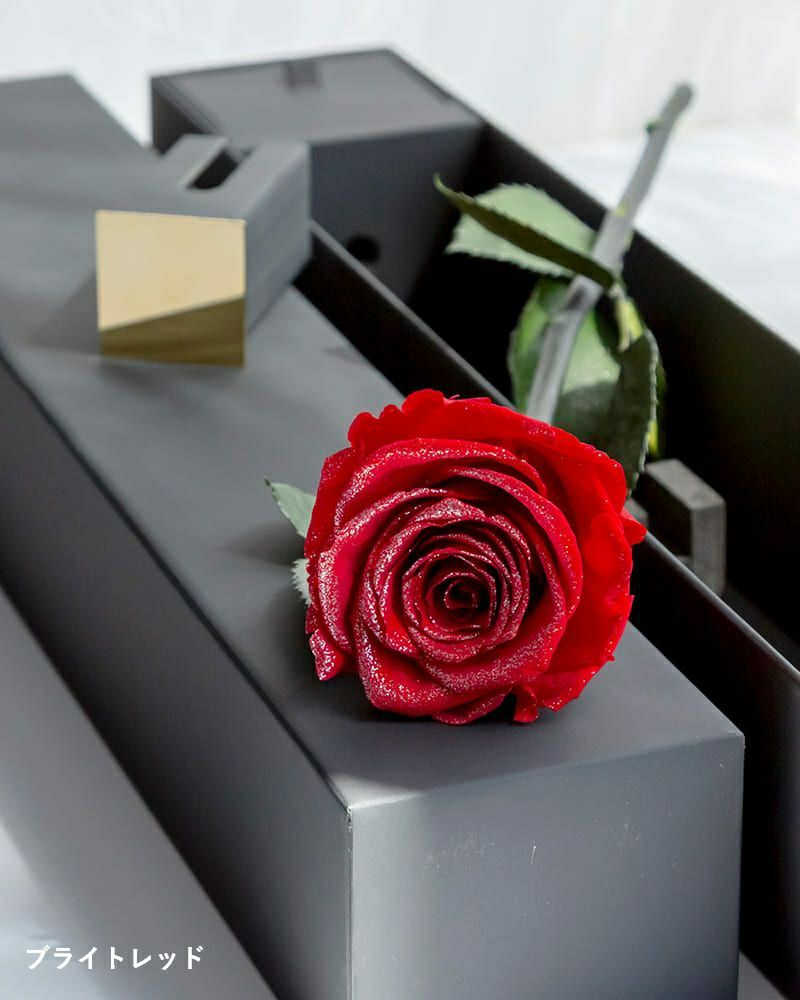 ザ・ワンスペシャルエディション | ローズギャラリー銀座 オンライン