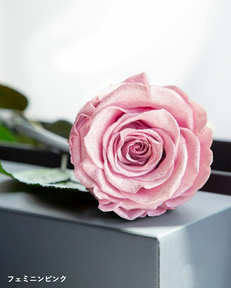 ザ・ワンスペシャルエディション | ローズギャラリー銀座 オンライン