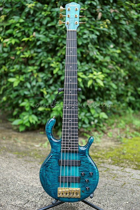 PEDULLA MVP6 Peacock Blue '2009: Route335@weblog