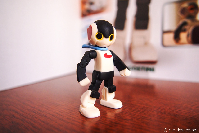 ロビ（Robi）が我が家にやってきた。 | 走るんですか？