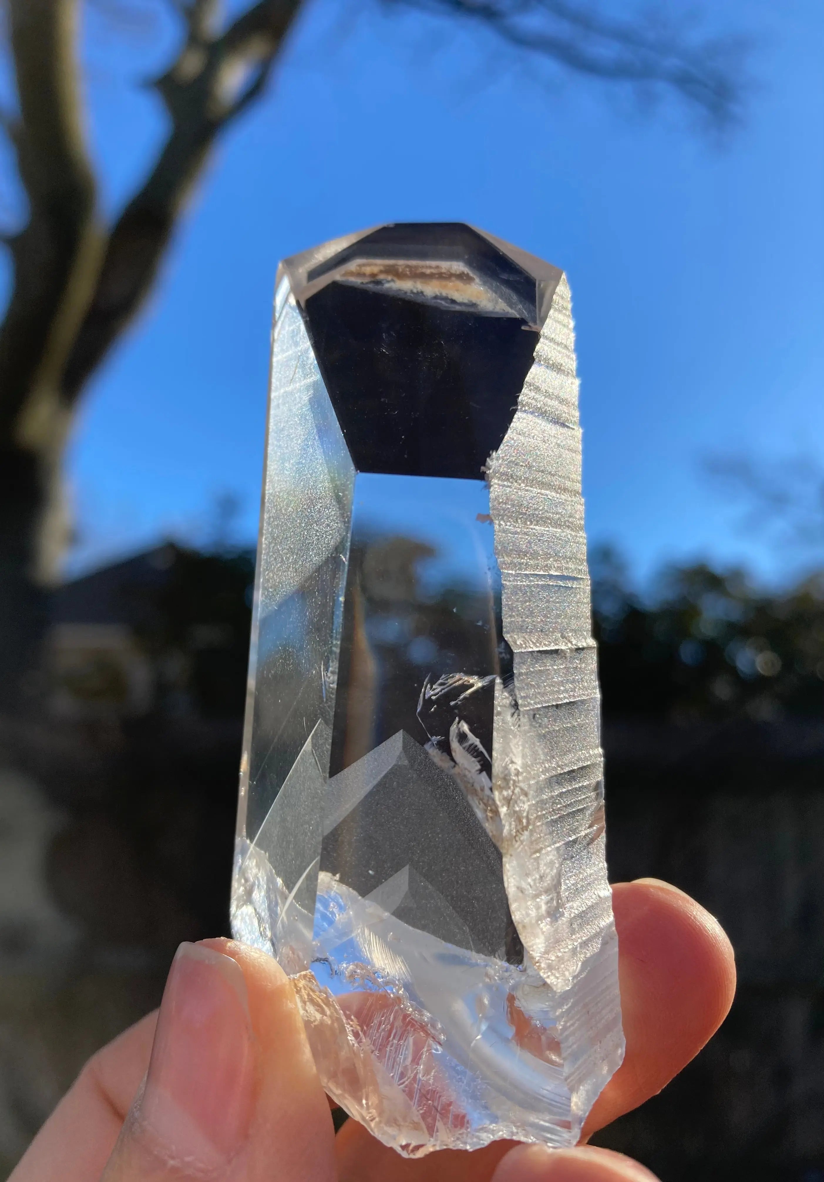 Lemurian Quartz レムリアン クォーツ – ryn crystal