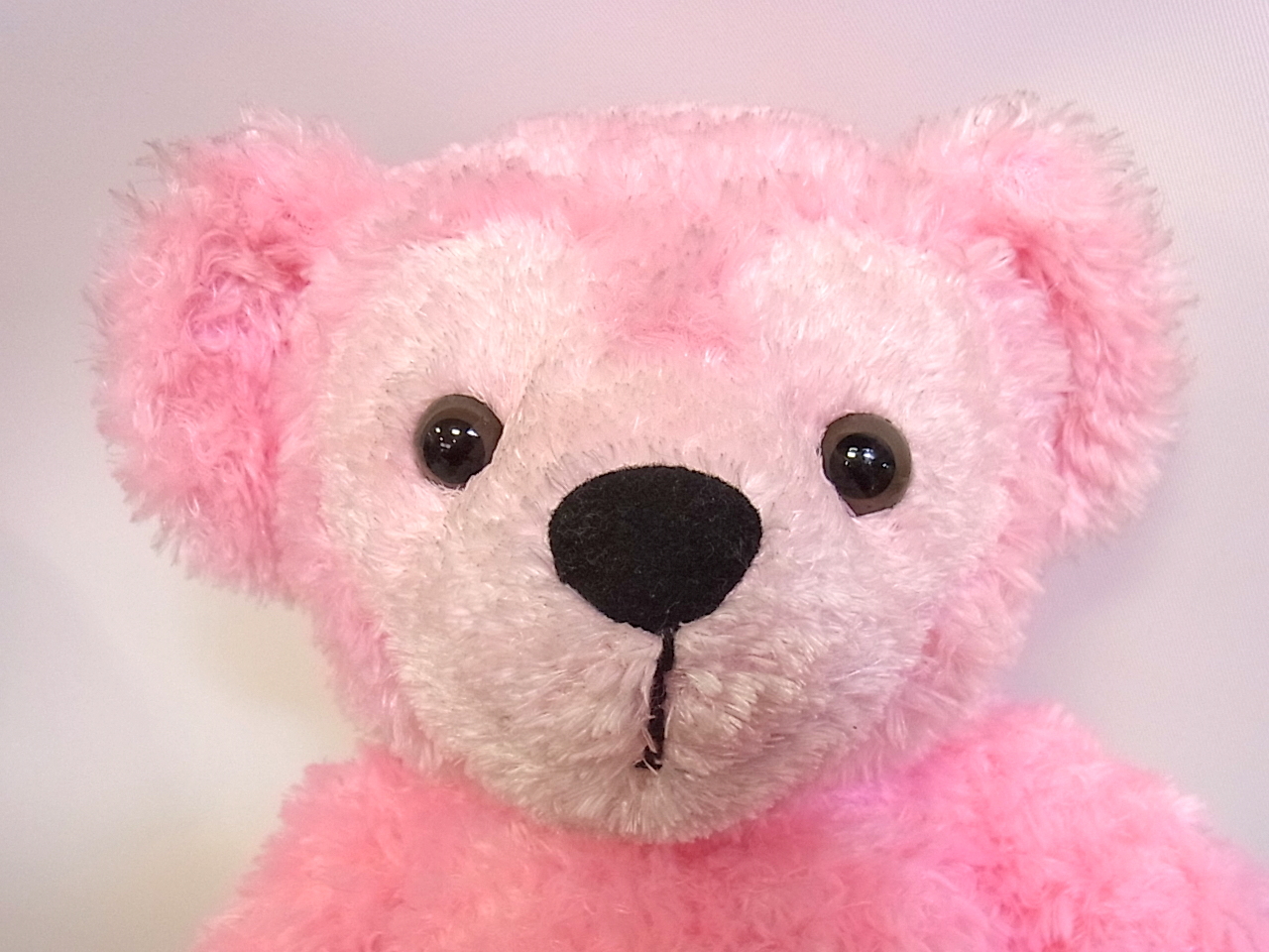 宅配買取】貴重な初期ダッフィーやWDWカラーダッフィーを千葉県千葉市