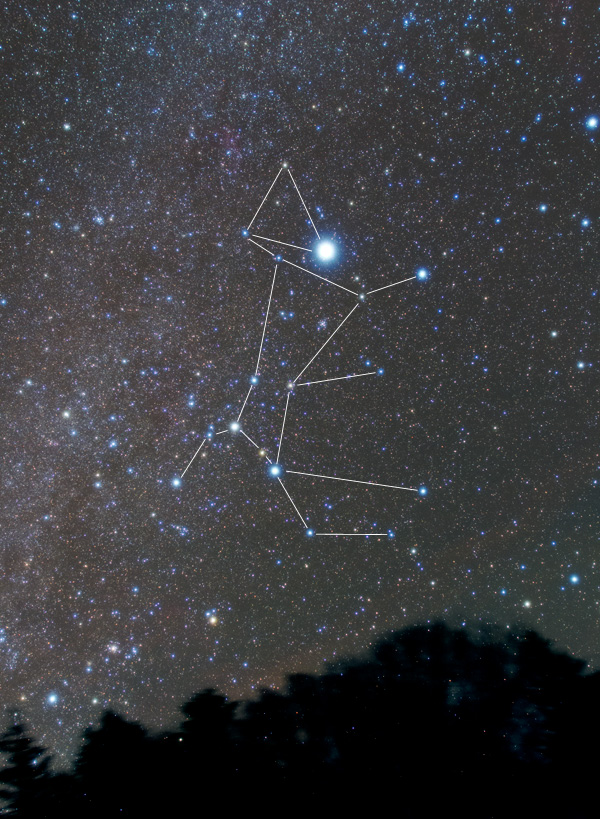おおいぬ座 | 星座写真 | 天体写真の世界